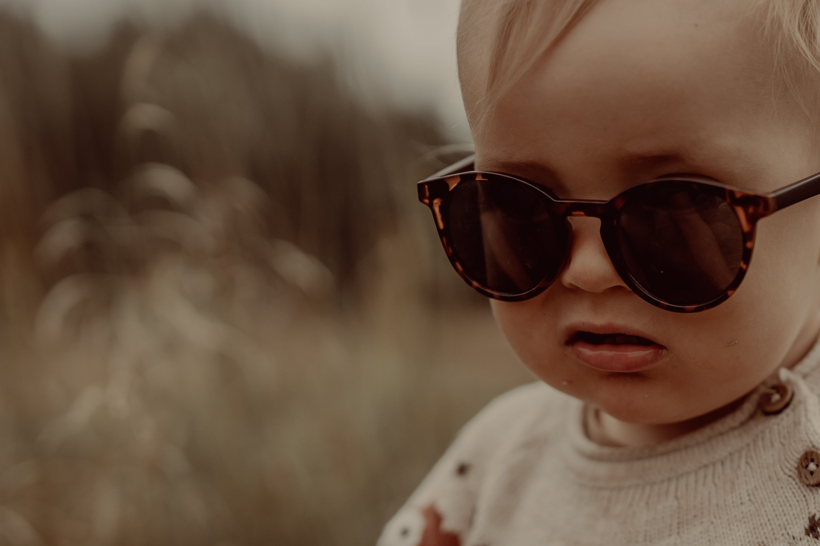 All Sunglasses