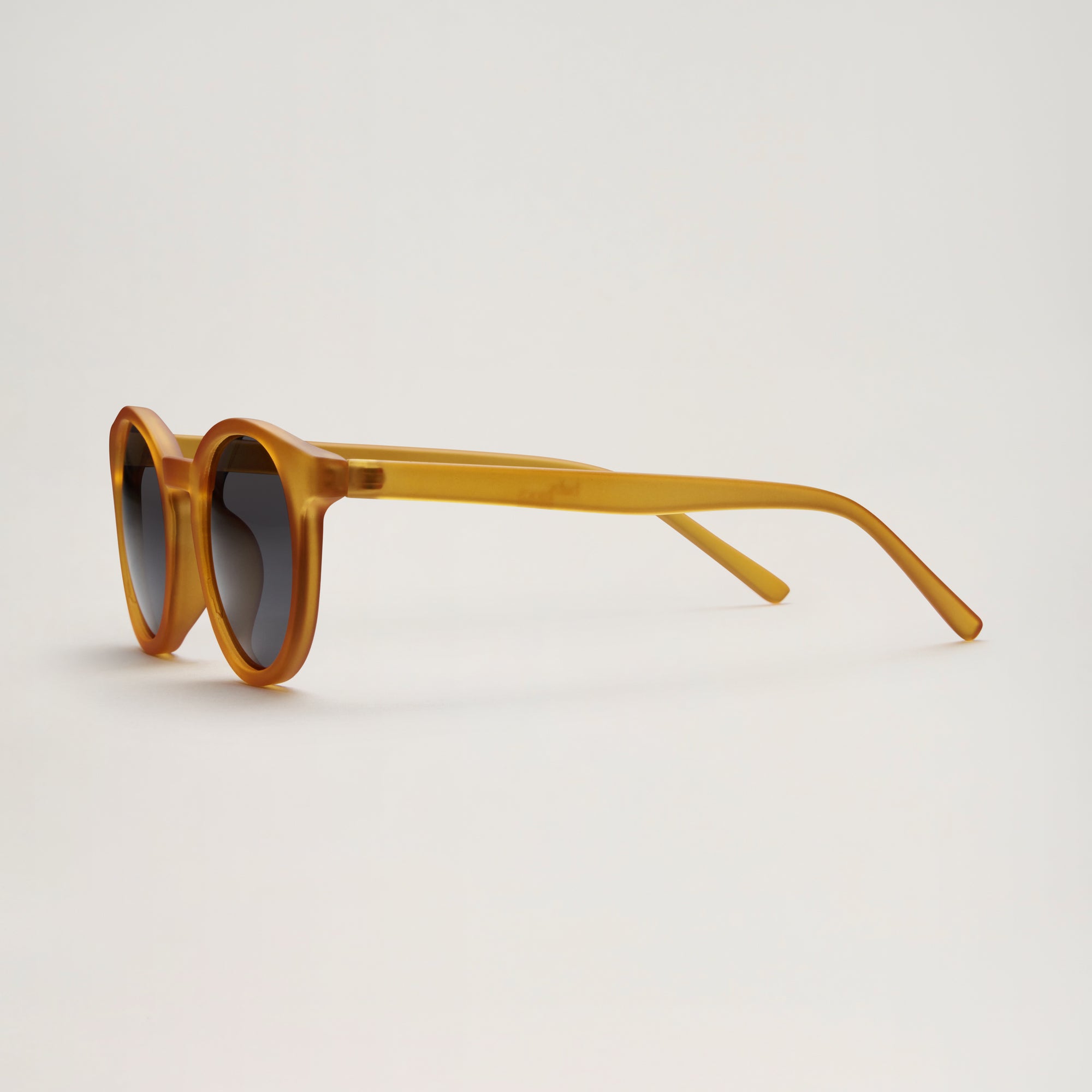 All Sunglasses