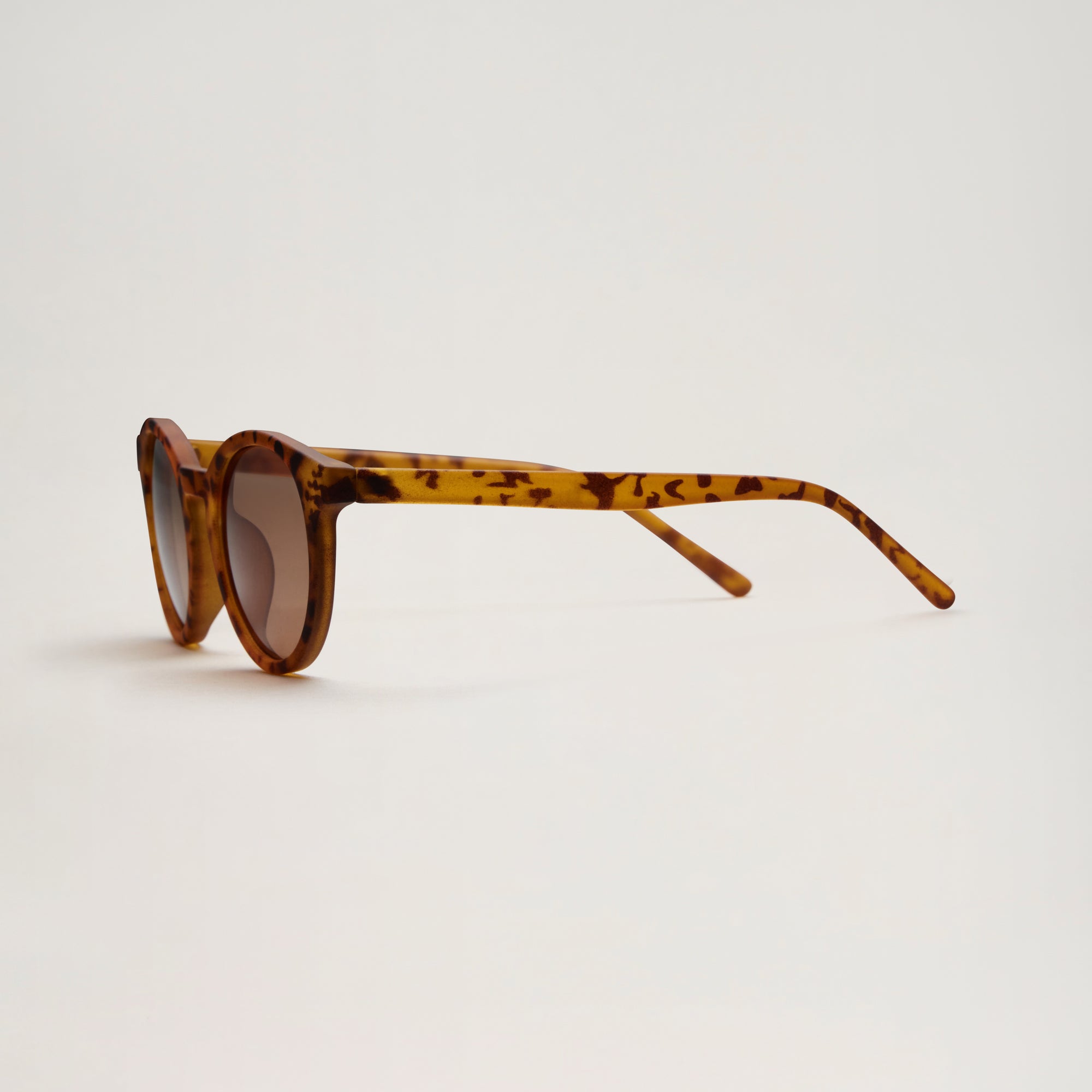 All Sunglasses