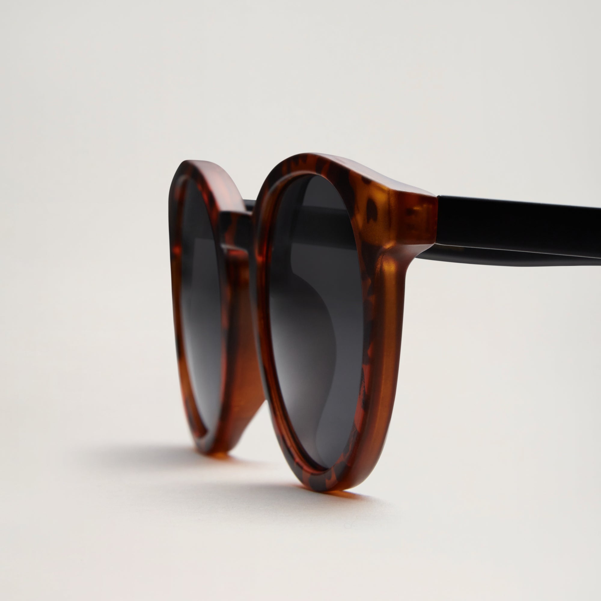 All Sunglasses