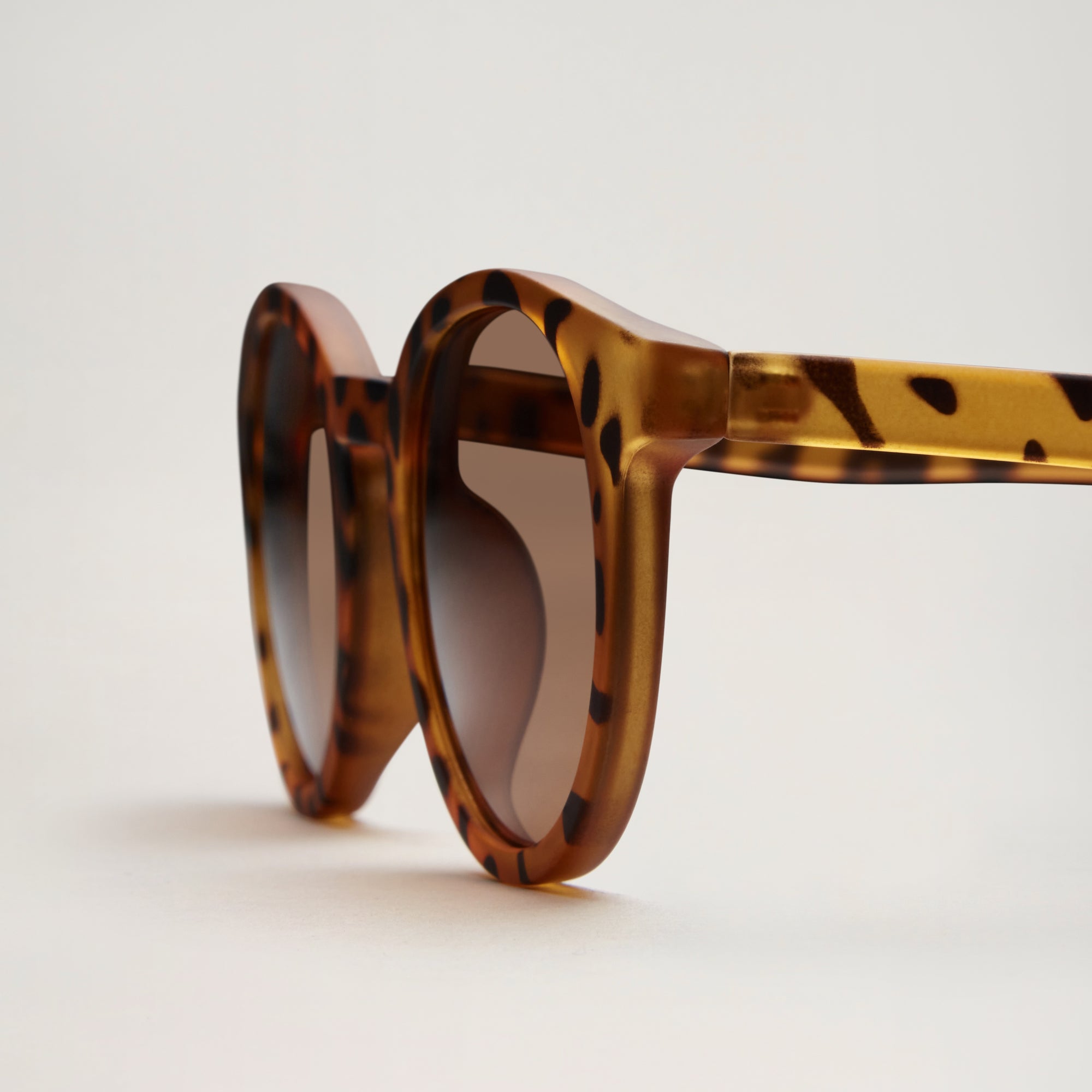 All Sunglasses