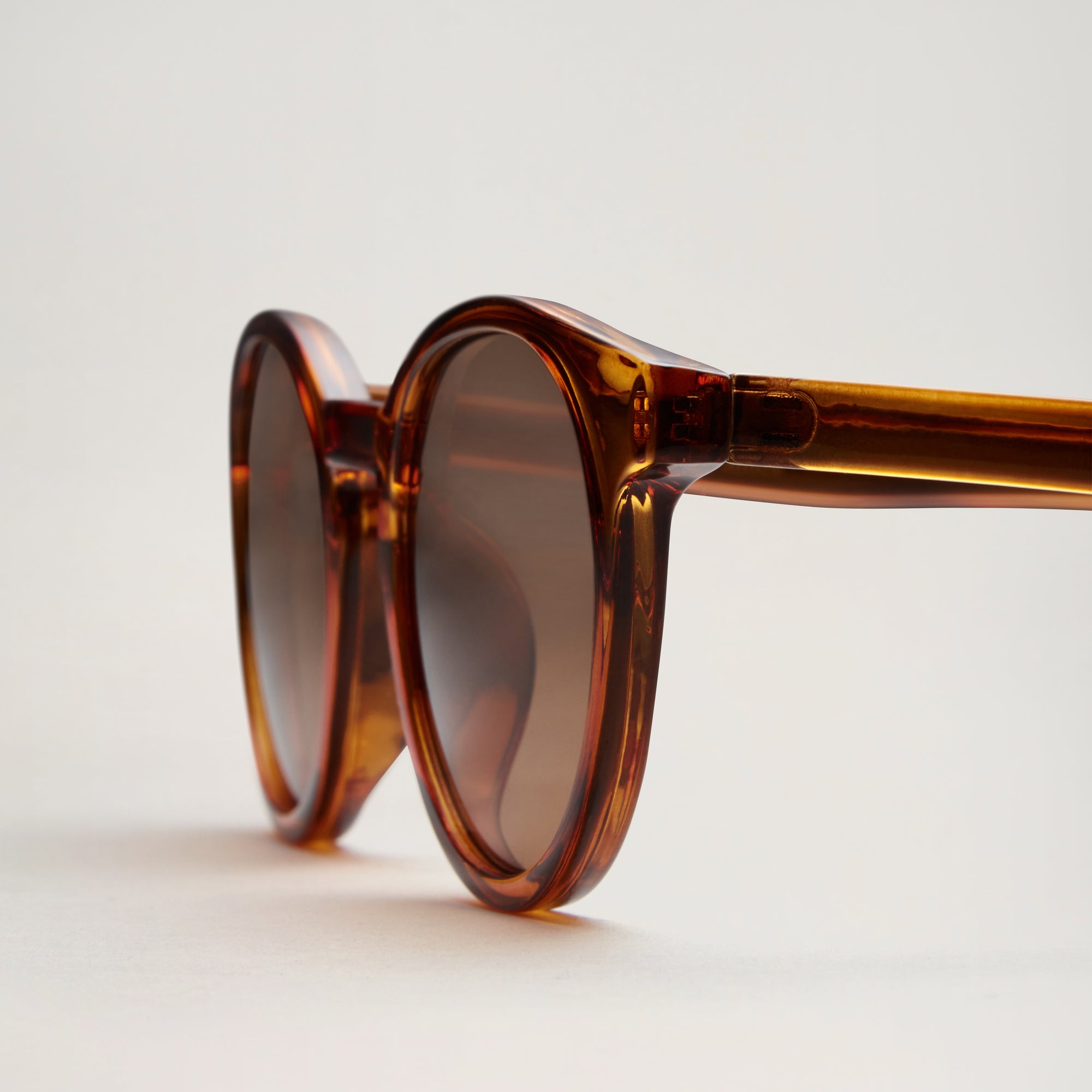 All Sunglasses