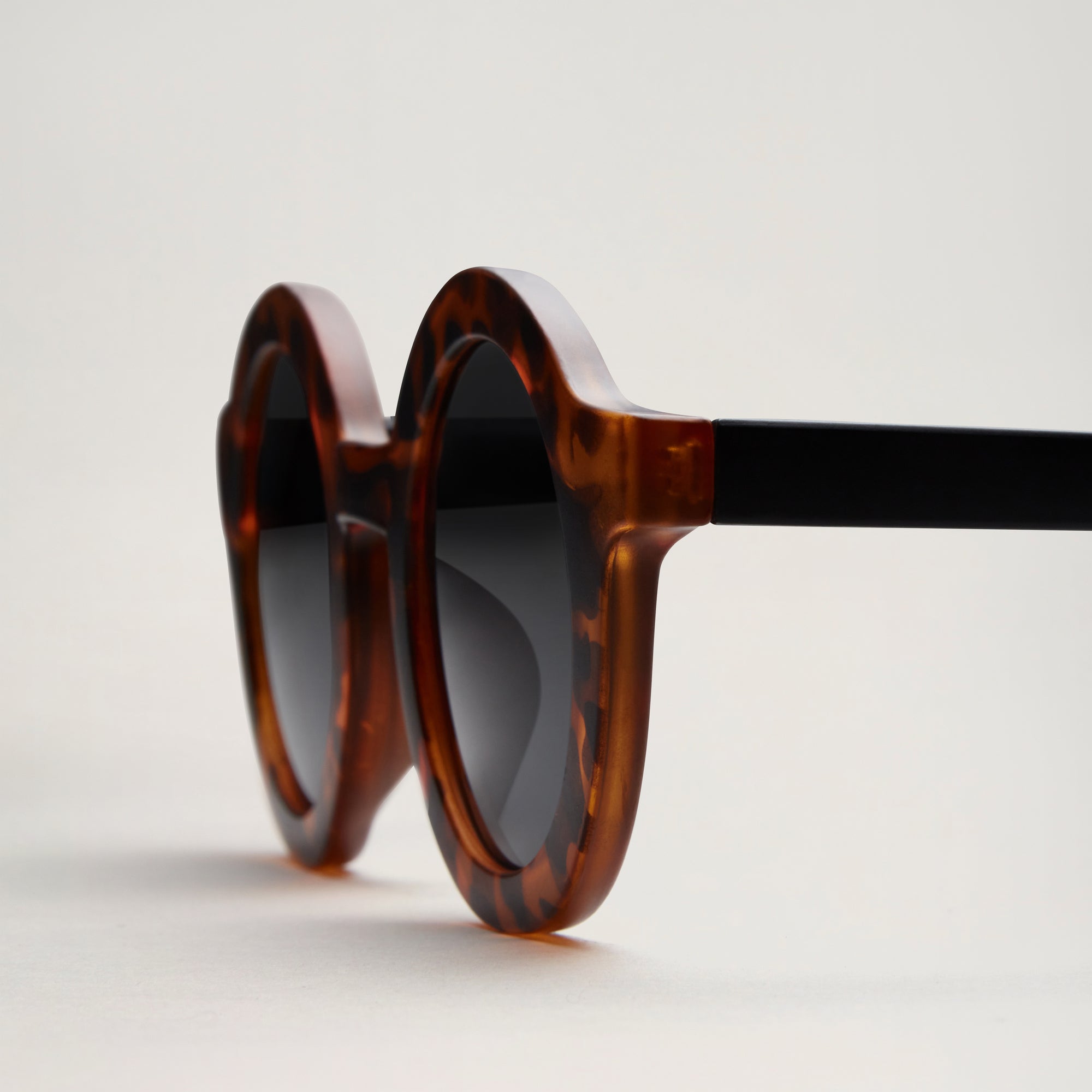 All Sunglasses